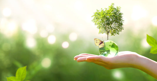 How Can Essential Oils Heal Though Vibration?