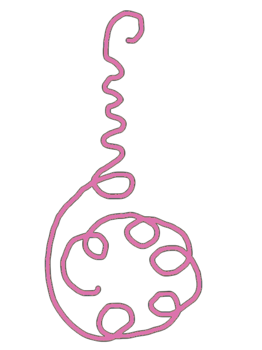 BioGeometry Die-Cut Sticker: Cancer Support 1