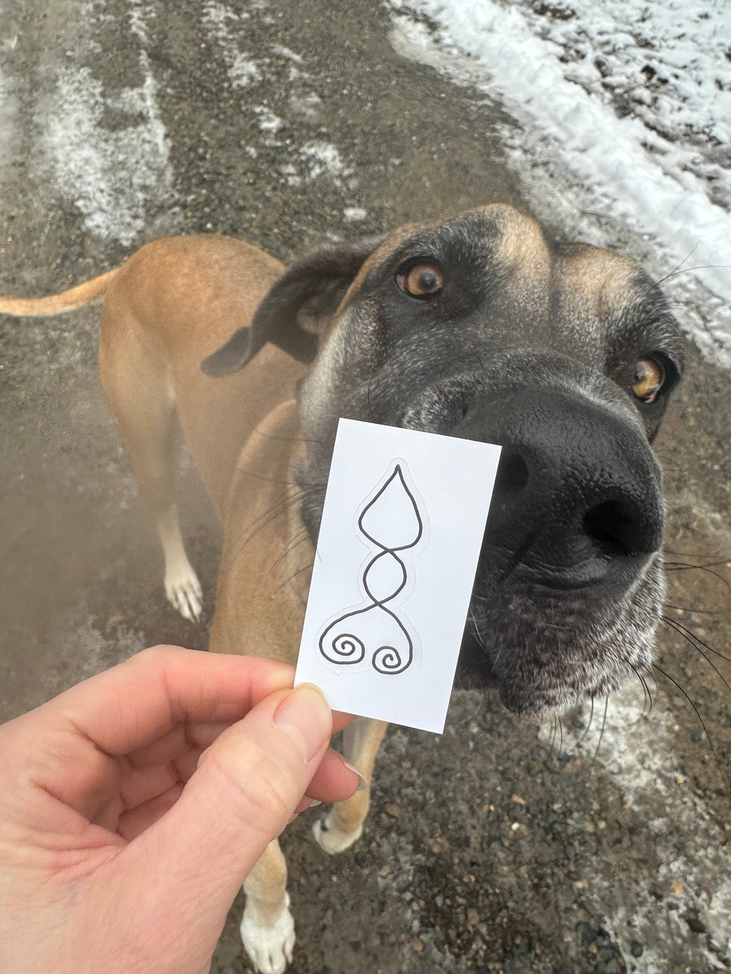 BioGeometry Die-Cut Sticker: Electro-Sensitivity Support - Wireless