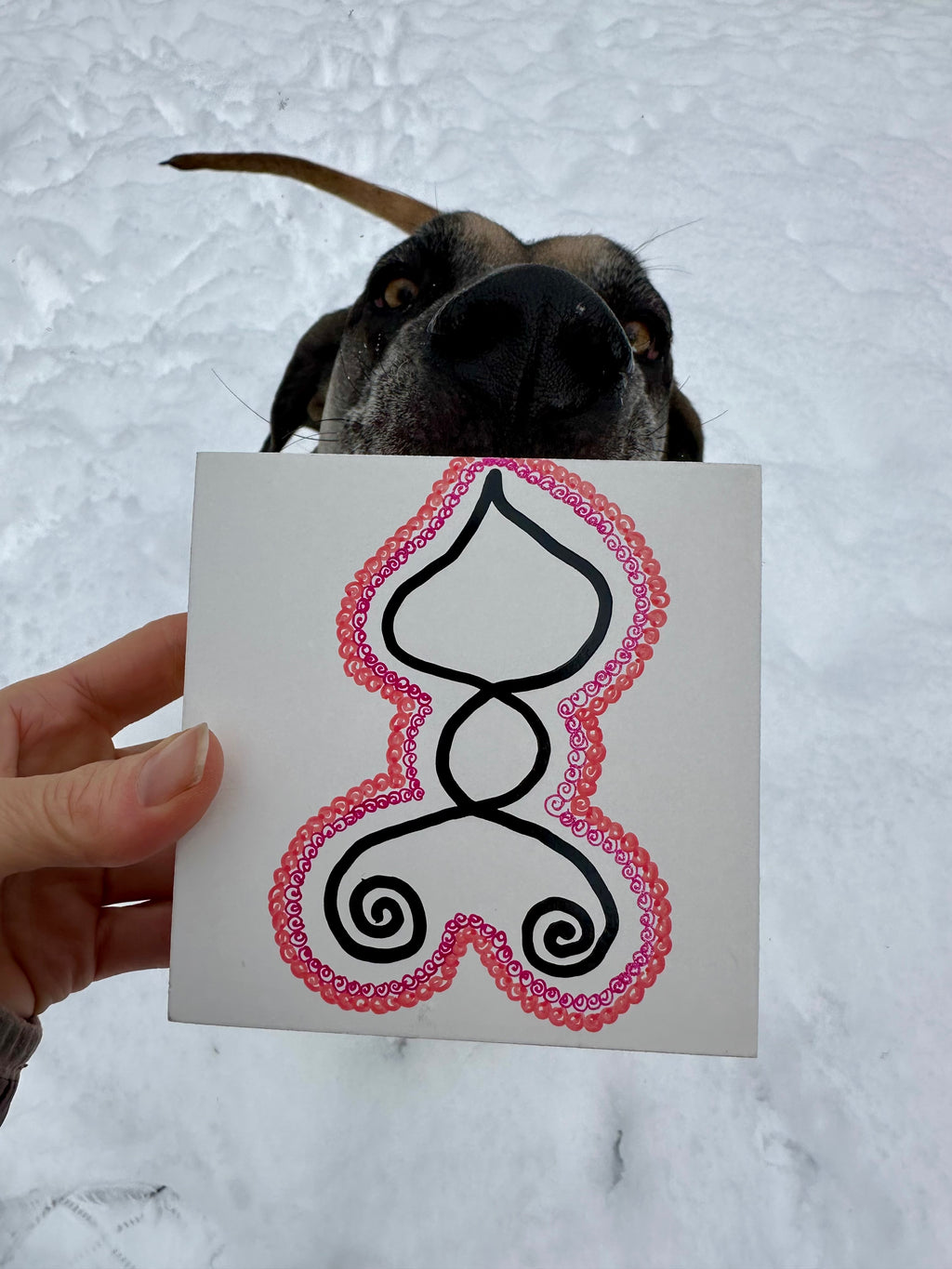 BioGeometry Drawing: Electro-Sensitivity Support - Wireless