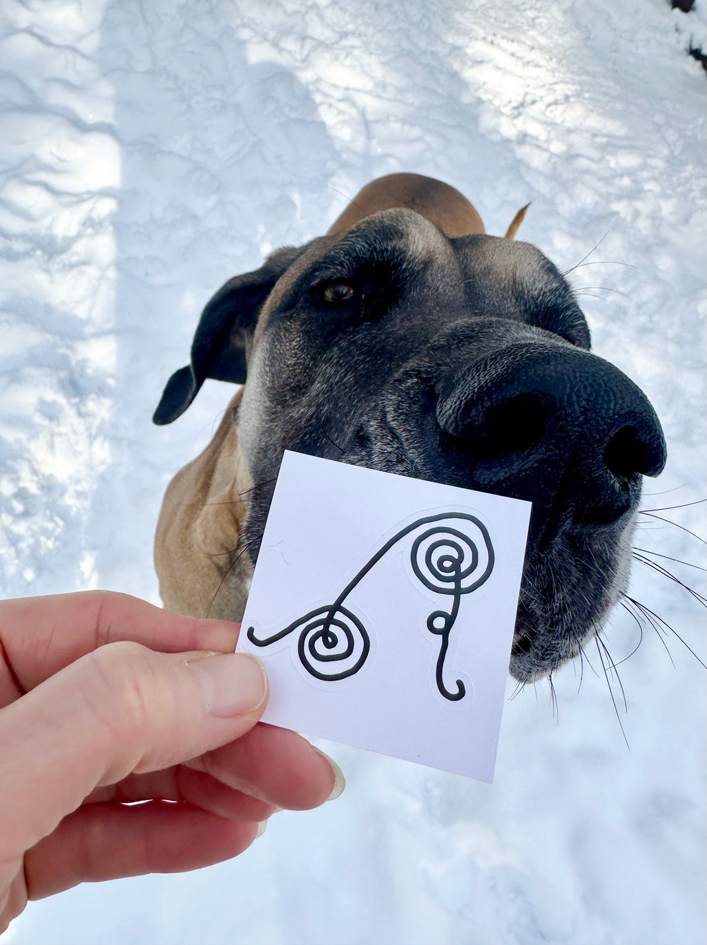 BioGeometry Die-Cut Sticker: Headaches 1