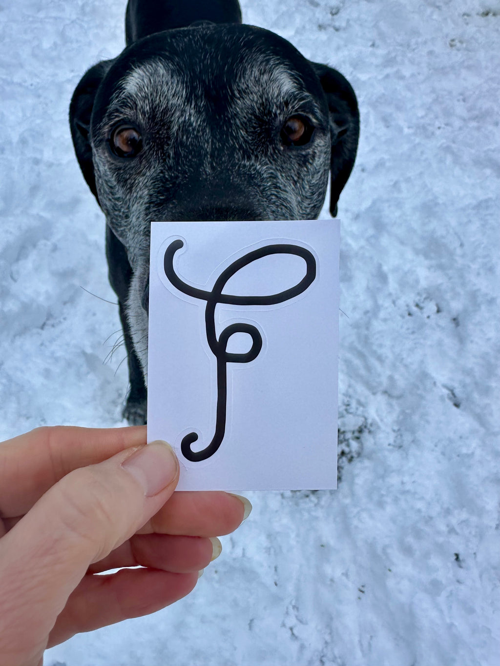 BioGeometry Die-Cut Sticker: Hip 1