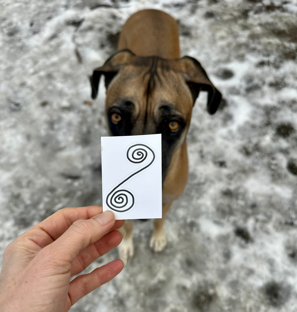 BioGeometry Die-Cut Sticker: Pancreas 6