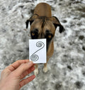 BioGeometry Die-Cut Sticker: Pancreas 6