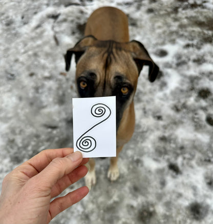 BioGeometry Die-Cut Sticker: Pancreas 6