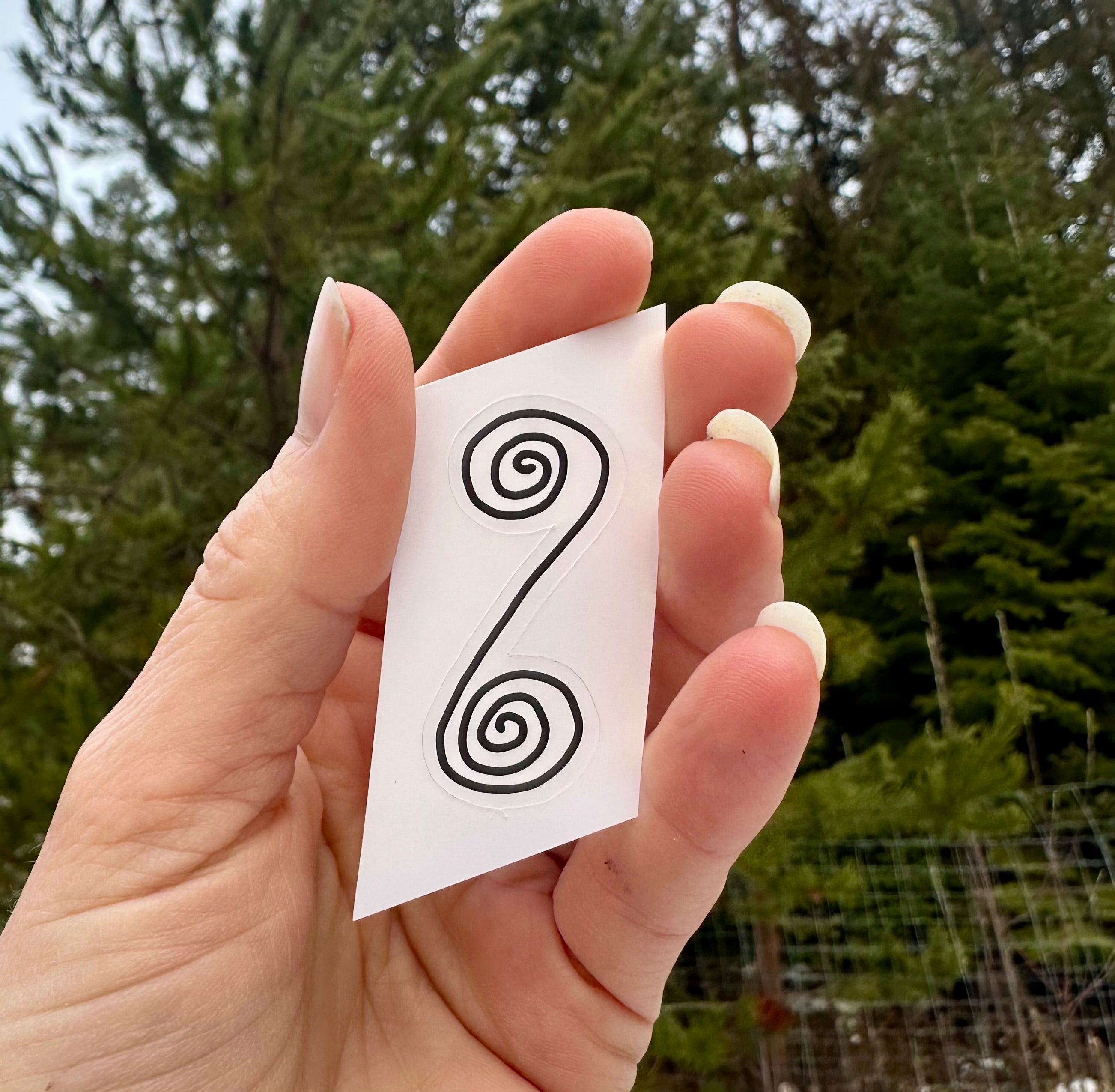 BioGeometry Die-Cut Sticker: Pancreas 6