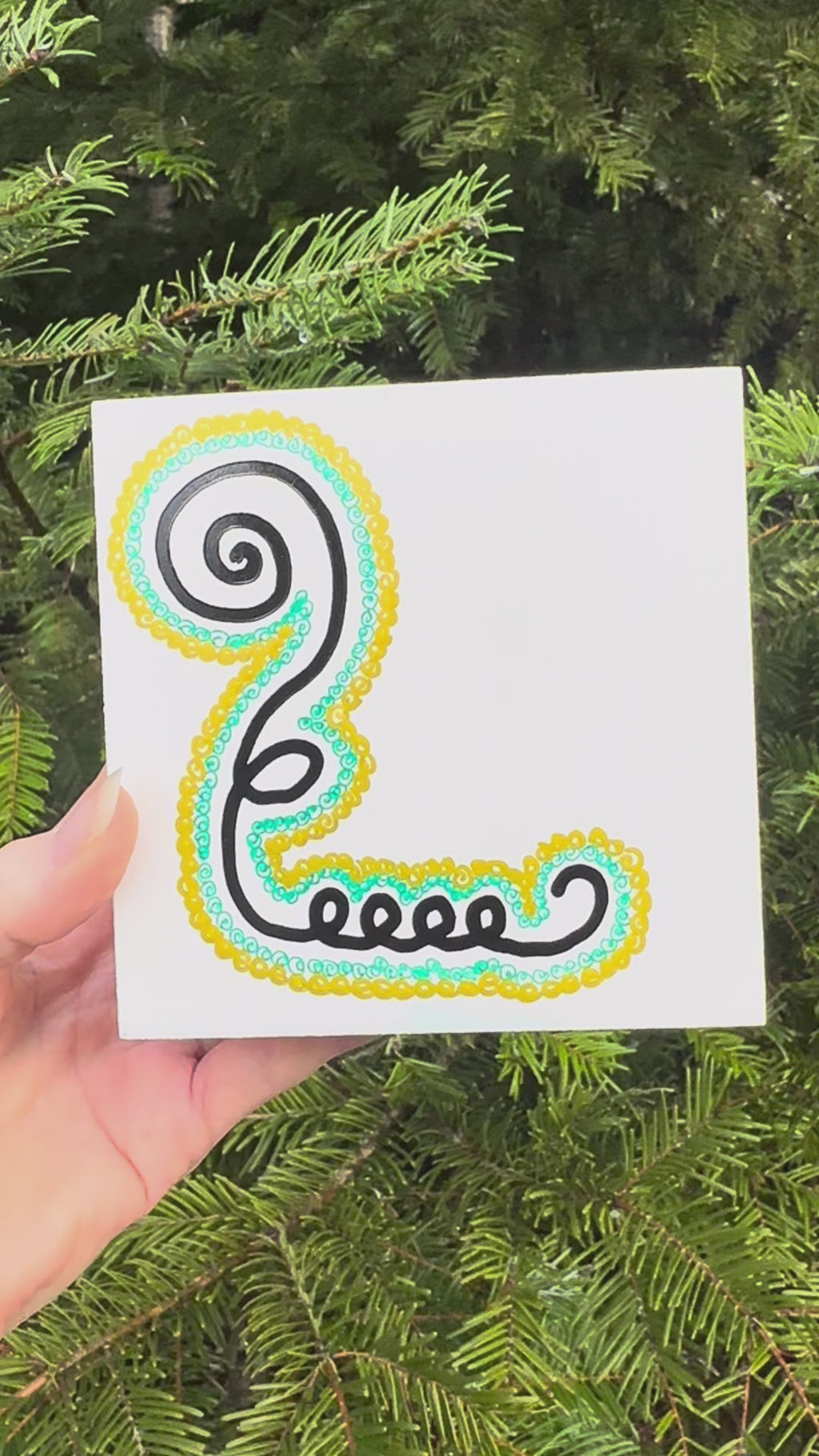 BioGeometry Drawing: Jaw & Teeth 1