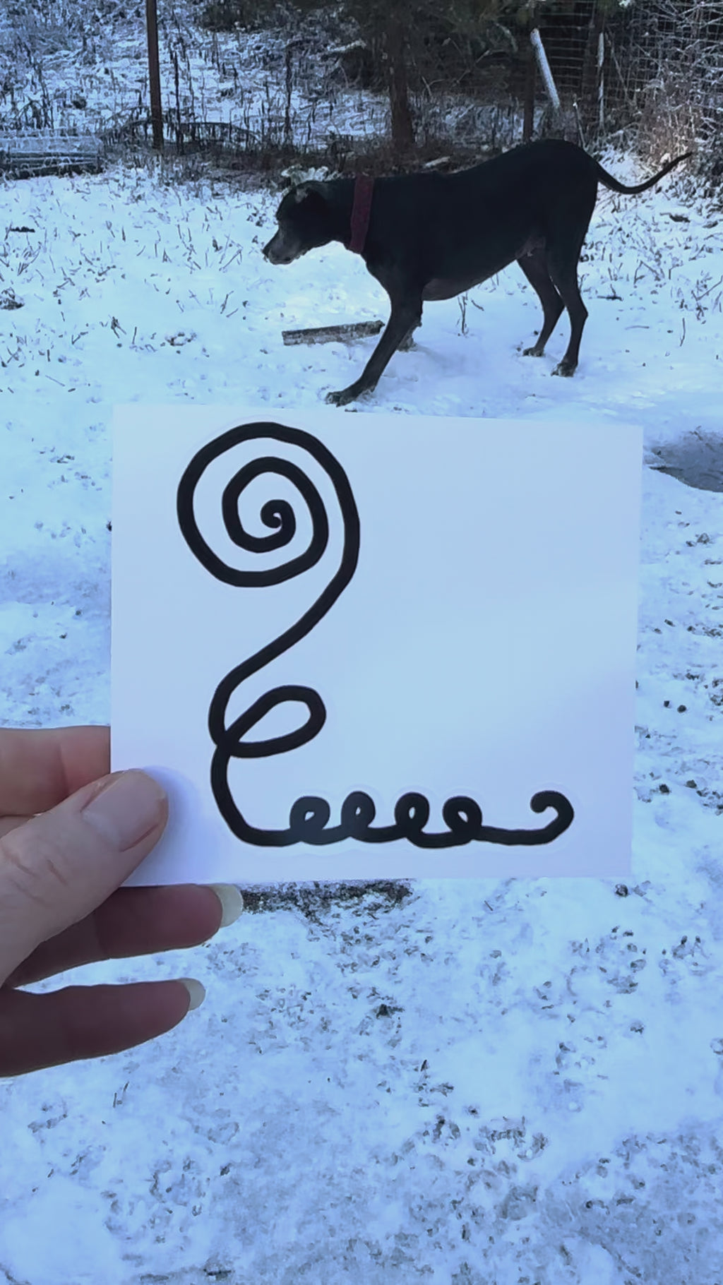 BioGeometry Die-Cut Sticker: Jaw & Teeth 1